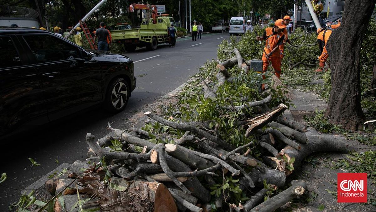 Pohon Tumbang Timpa Motor dan Halte di Jaksel, 3 Orang Luka