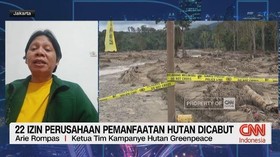 VIDEO: 22 Izin Perusahaan Pemanfaatan Hutan Dicabut