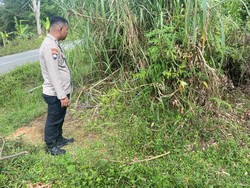 Bayi Laki-laki Terbungkus Kain Ditemukan di Pinggir Jalan Kerinci