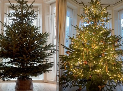 Apa Itu Pohon Natal 'Polos' ala Victoria Beckham yang Ramai di Medsos?