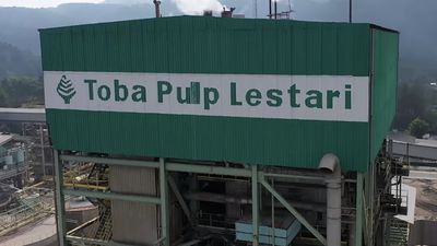 Respons Luhut, Toba Pulp Lestari Bantah Rusak Alam Sumatra
