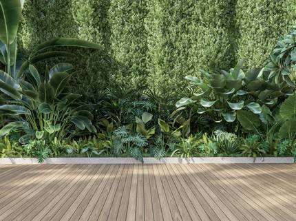 10 Jenis Tanaman yang Disukai Ular, Cek Apakah Ada di Rumah?