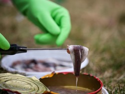 6 Makanan Paling Bau di Dunia, Mirip Bangkai hingga Kaus Kaki Kotor!