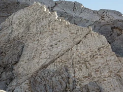 Misteri Jejak Dinosaurus di Tebing Batu Italia