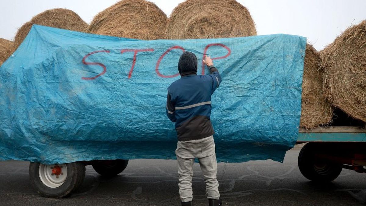 Peternak Prancis Ngamuk Blokade Jalan, Protes Pemusnahan Sapi Sakit