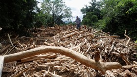 Kayu Gelondongan Hantam Permukiman Saat Banjir Bandang Purbalingga