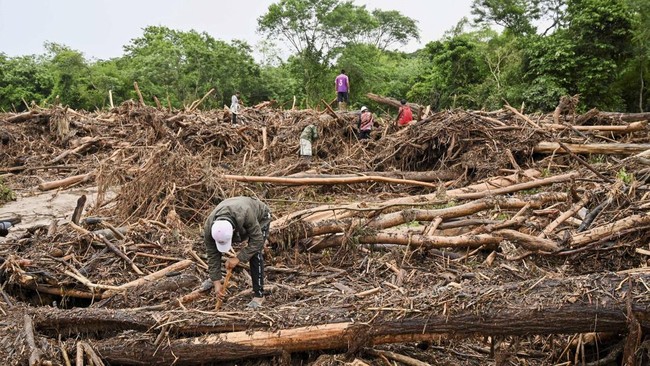 Kemenhut percepat pembersihan limbah banjir di Sumatera. Fokus pada pemulihan akses dan fasilitas umum, melibatkan TNI, Polri, dan warga.