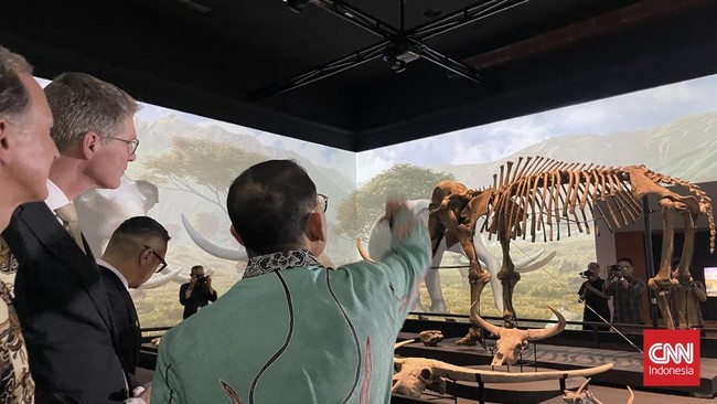 Sebanyak 28.131 fosil dari Belanda mulai dipamerkan di Museum Nasional, Jakarta Pusat.