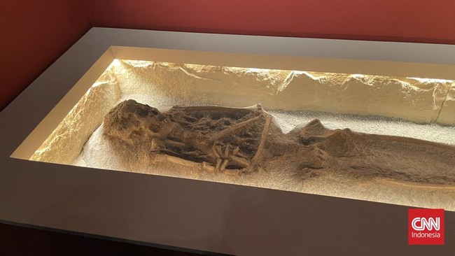 Menbud Fadli Zon mengumumkan pemulangan 28.131 koleksi Eugene Dubois dari Belanda ke Indonesia, termasuk fosil penting. Proses pemulangan akan berlanjut.