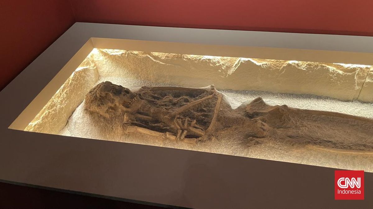 Daftar 28.131 Koleksi Dubois yang Dipulangkan: Tengkorak hingga Gigi