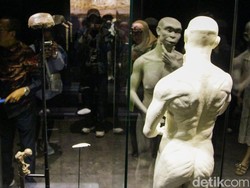 Jejak Manusia Jawa, Kini Kembali