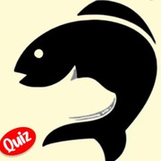 Tes Kepribadian: Kucing atau Ikan yang Pertama Kali Dilihat? Ungkap Kamu Berpikir dengan Logika atau Perasaan