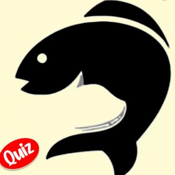 Tes Kepribadian: Kucing atau Ikan yang Pertama Kali Dilihat? Ungkap Kamu Berpikir dengan Logika atau Perasaan