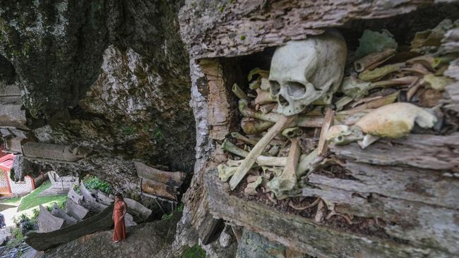 Kebakaran Hutan Merembet ke Kuburan Batu Objek Wisata Toraja Utara