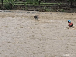 Aksi Abah Endang Seberangi Arus Liar Cidadap demi Hantarkan Tas