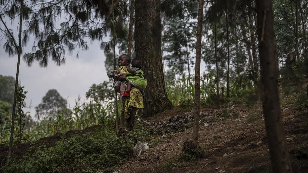 3 Negara Pemilik Hutan Luas Tapi Didera Kemiskinan, Ada RI?