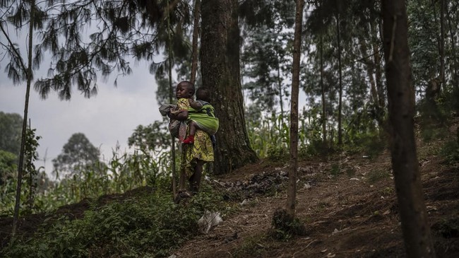 Tiga negara di dunia yang diselimuti hutan luas namun banyak warganya yang masih didera kemiskinan.