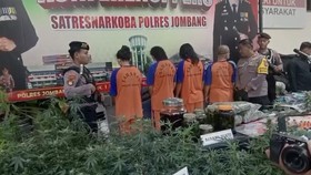 Pasutri Diduga Otak Rumah Greenhouse Ganja di Jombang Ditangkap