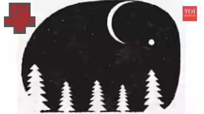 Tes Kepribadian: Gambar Pertama yang Dilihat Ungkap Kamu Miliki Sifat Tangguh atau Tenang