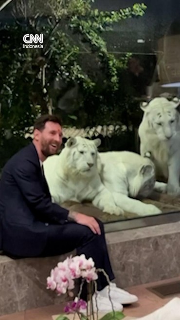 Momen Messi Main Sepak Bola dengan Gajah di India