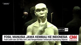 VIDEO: Fosil Manusia Jawa Kembali ke Indonesia