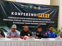 Detik-detik Baku Tembak Aparat Gabungan Vs Pemburu Rusa di Pulau Komodo