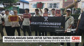 VIDEO: Penggalangan Dana Untuk Satwa Bandung Zoo