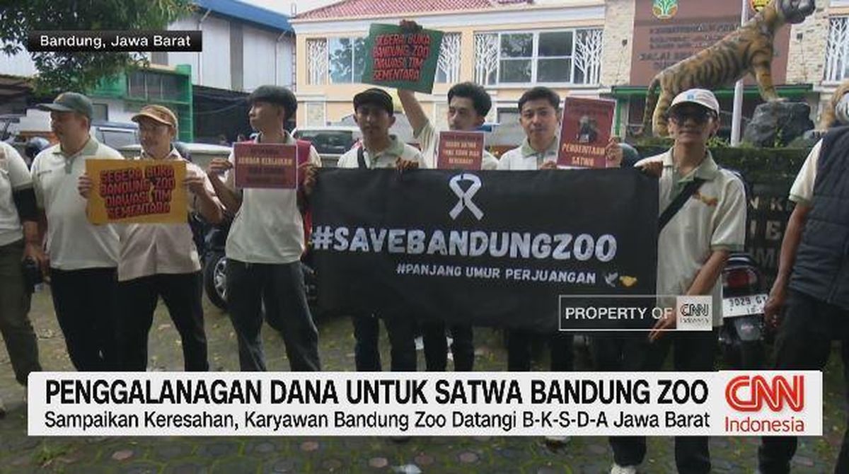 VIDEO: Penggalangan Dana Untuk Satwa Bandung Zoo