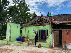 9 Rumah Warga Blitar Rusak Tertimpa Pohon Tumbang saat Angin Kencang