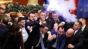 FOTO: Sidang DPR di Albania Ricuh, Wakil Rakyat Saling Adu Jotos