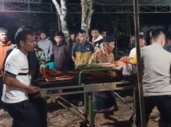 Pelajar di Musi Rawas Tewas Usai Tendanya Tertimpa Pohon Tumbang