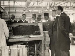 Tembakau Deli: Warisan yang Membesarkan Medan, Kini Tinggal Cerita