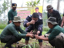 Anggota DPR Kawendra Bareng Perhutani Tanam 888 Bibit Pohon di Lumajang