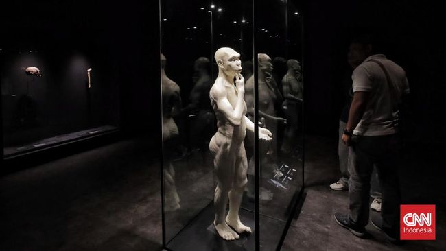 Tahun 2026 diprediksi akan menjadi tonggak sejarah baru dalam perjalanan transformasi Museum Nasional Indonesia (MNI).