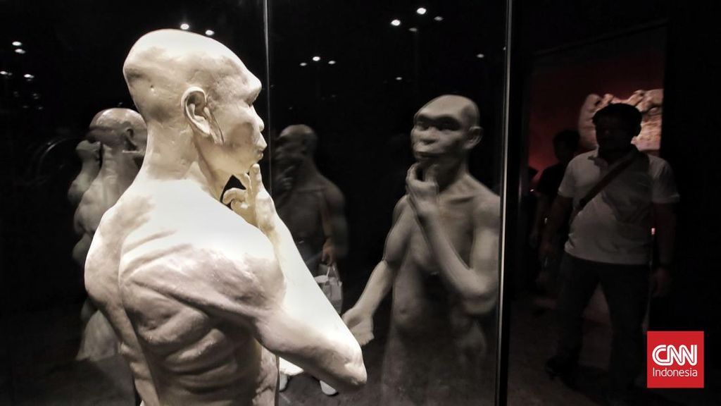 FOTO: Kembalinya Fosil Java Man ke Nusantara