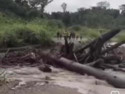 Viral Banjir Bawa Gelondongan Kayu di Keerom Papua Bikin Jembatan Terputus
