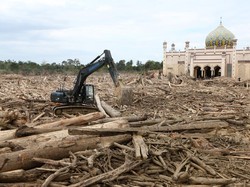 Kayu Gelondongan Diduga Sebabkan Banjir Sumatera, Pakar Ungkap Fakta Ini