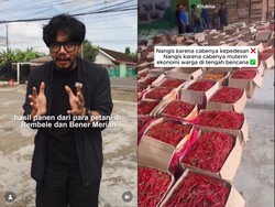 Kisah Cabe Takengon Dibawa dari Aceh Tengah ke Jakarta Demi Bangkitkan Ekonomi