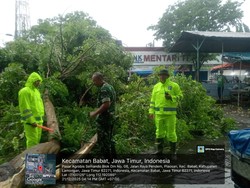 Hujan Angin Terjang Babat, Pohon Tumbang Timpa Motor & Toko Pasar Agrobis