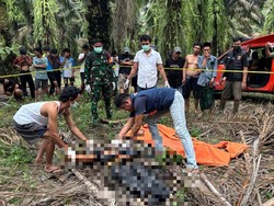 Perlawanan Siswa SMK di Lampung Saat Dibegal, Ditusuk 3 Kali hingga Tewas