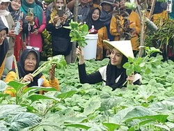 Program Sarinah, Solusi Kolaboratif Tuntaskan Sampah Lingkungan
