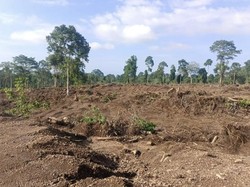 28 Ribu Hektare Hutan Tambora Dikuasai Perusahaan, Warga Waswas Bencana
