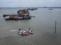 KKP Bidik 17 Ribu Hektare Lahan Pesisir Demak-Tegal Jadi Kawasan Karbon Biru