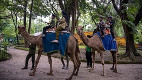 Children ride camels at Surabaya Zoo during the Christmas and New Year holidays in Surabaya on December 21, 2025. (Photo by JUNI KRISWANTO / AFP)