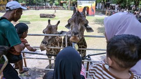 FOTO: Warga Padati Kebun Binatang Surabaya Jelang Libur Nataru