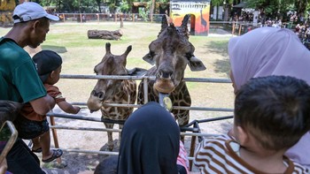 FOTO: Warga Padati Kebun Binatang Surabaya Jelang Libur Nataru