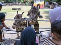  Warga Padati Kebun Binatang Surabaya Jelang Libur Nataru