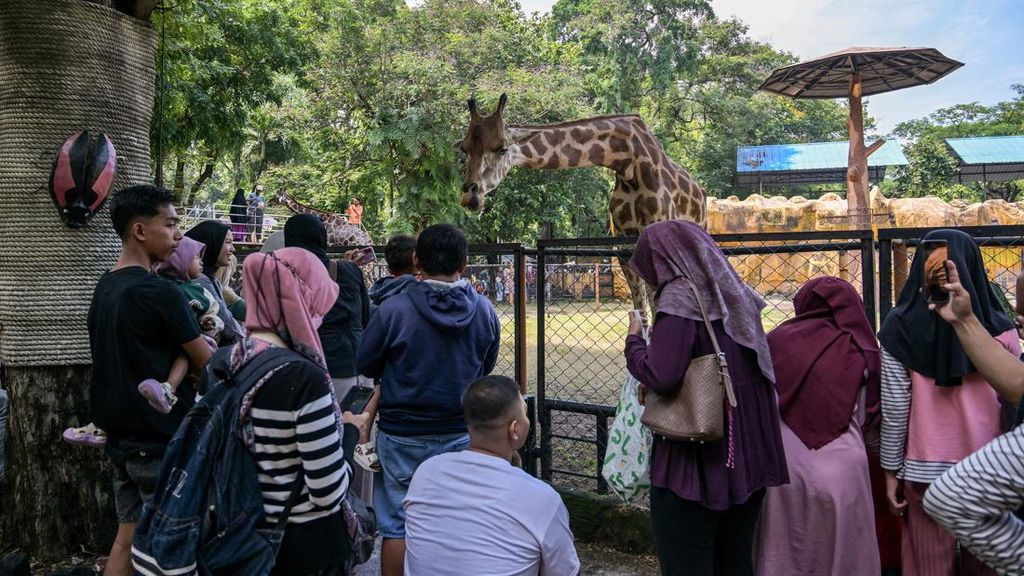 Kebun Binatang Surabaya Tetap Buka Usai Digeledah Kejati Jatim