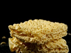 Viral Pengungsi Berhari-hari Makan Mi Mentah, Apa Dampaknya Bagi Kesehatan?