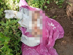 Ibu di Jember Diduga Mutilasi Bayi yang Baru Dilahirkan